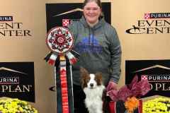 Big Times Kennel Pet Gallery 2 - Killian finish reserve (2nd) at National in Games