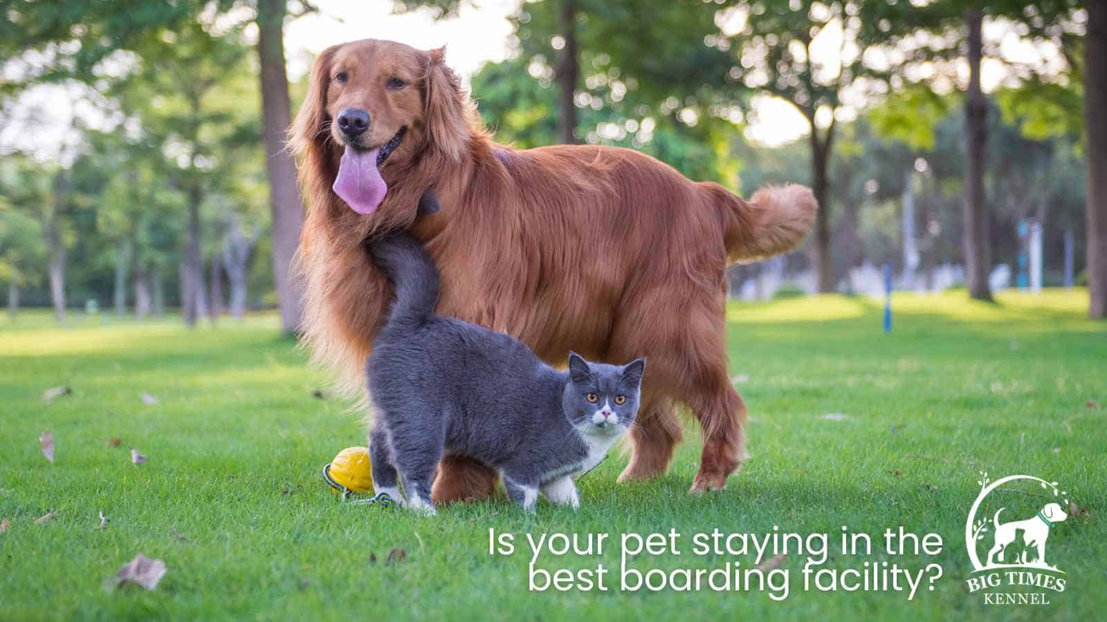 Best Boarding Facility